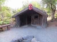 1172 Rotorua - Te Puia - Maoridorf