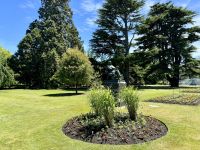 13. Reisetag – Von Kaikoura zum Lake Tekapo – Botanischer Garten in Christchurch