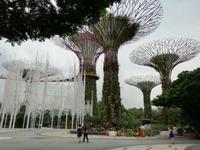 Singapur - Gardens by the Bay