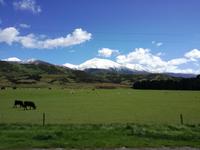 Christchurch - Punakaiki