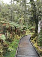 Spaziergang durch den Busch am Ship Creek