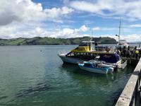 Dunedin - Schifffahrt mit der Monarch