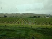 Kaikoura - Picton - Transcoastal Zugfahrt