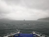 Fährüberfahrt nach Wellington