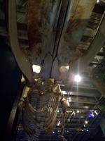 Wellington - Freizeit - Te Papa