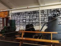 Paihia - Auckland - Kaurimuseum