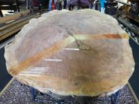 Paihia - Auckland - Kaurimuseum