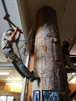 Paihia - Auckland - Kaurimuseum