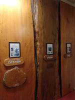 Paihia - Auckland - Kaurimuseum