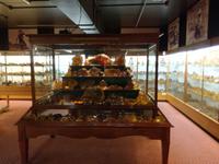 Paihia - Auckland - Kaurimuseum