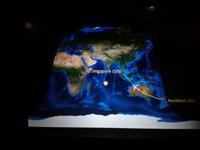 Rückflug nach Deutschland