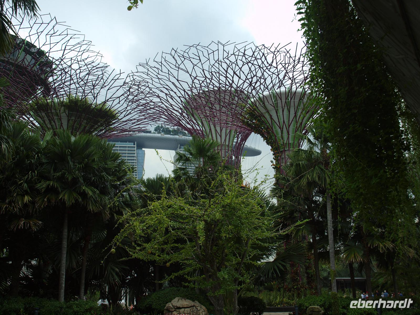 Singapur - Gardens by the Bay