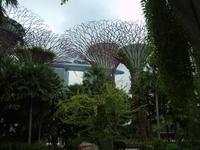 Singapur - Gardens by the Bay