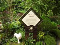 Singapur - Orchideen Garten