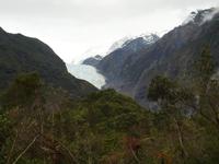 Franz Josef Gletscher
