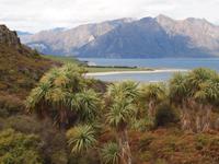 Lake Hawea