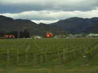 Gletscherwelt - Queenstown - Cromwell