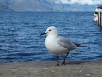 Freizeit in Queenstown