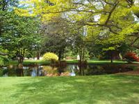 Freizeit in Queenstown - Botanischer Garten