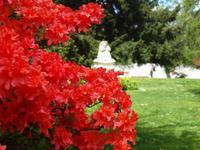 Freizeit in Queenstown - Botanischer Garten