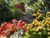 Freizeit in Queenstown - Botanischer Garten