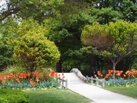 Freizeit in Queenstown - Botanischer Garten