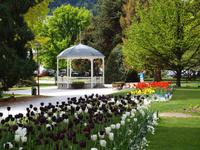 Freizeit in Queenstown - Botanischer Garten