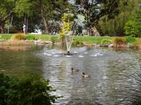 Freizeit in Queenstown - Botanischer Garten