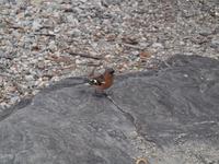 Freizeit in Queenstown