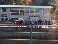 Manapouri - Pearl Habour - Überfahrt Lake Manapouri