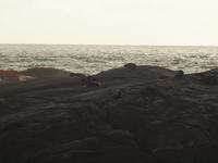 Schifffahrt auf dem Doubtful Sound