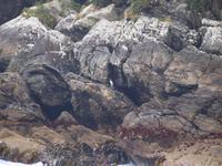 Schifffahrt auf dem Doubtful Sound