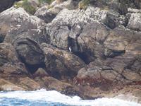 Schifffahrt auf dem Doubtful Sound