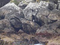 Schifffahrt auf dem Doubtful Sound