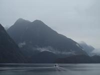 Schifffahrt auf dem Doubtful Sound