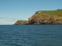 Dunedin - Schifffahrt mit der Monarch