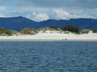 Dunedin - Schifffahrt mit der Monarch