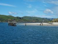 Dunedin - Schifffahrt mit der Monarch