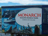 Dunedin - Schifffahrt mit der Monarch