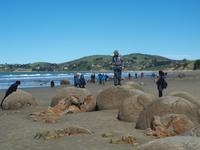 Moeraki Boulders
