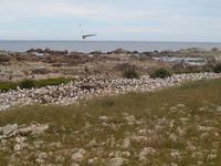Kaikoura - Küstenwanderung