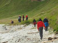 Kaikoura - Küstenwanderung