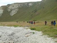 Kaikoura - Küstenwanderung
