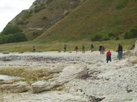 Kaikoura - Küstenwanderung