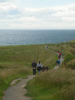 Kaikoura - Küstenwanderung