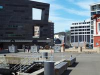 Wellington - Freizeit - Te Papa