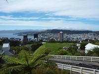 Wellington - Freizeit