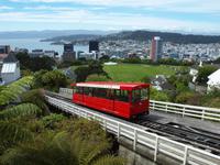 Wellington - Freizeit