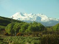 Wellington - Ohakune - Mount Ruapehu