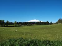 Wellington - Ohakune - Mount Ruapehu